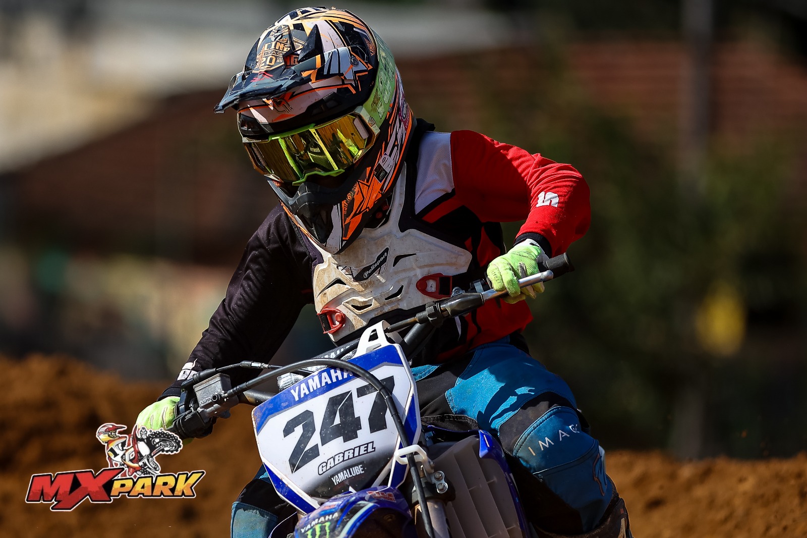 WhatsApp Image 2023-07-03 at 10.08.09 AM.jpeg